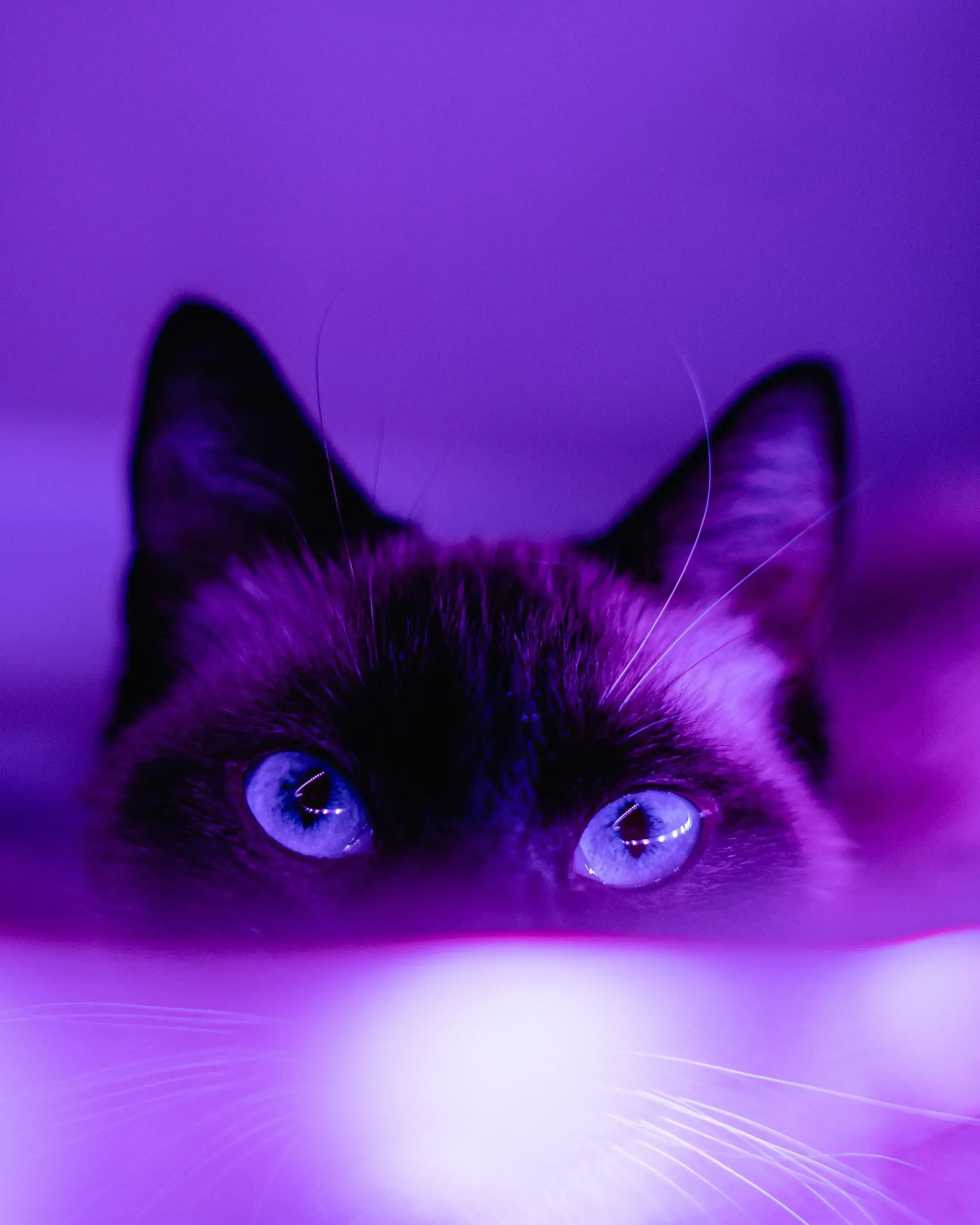 purple