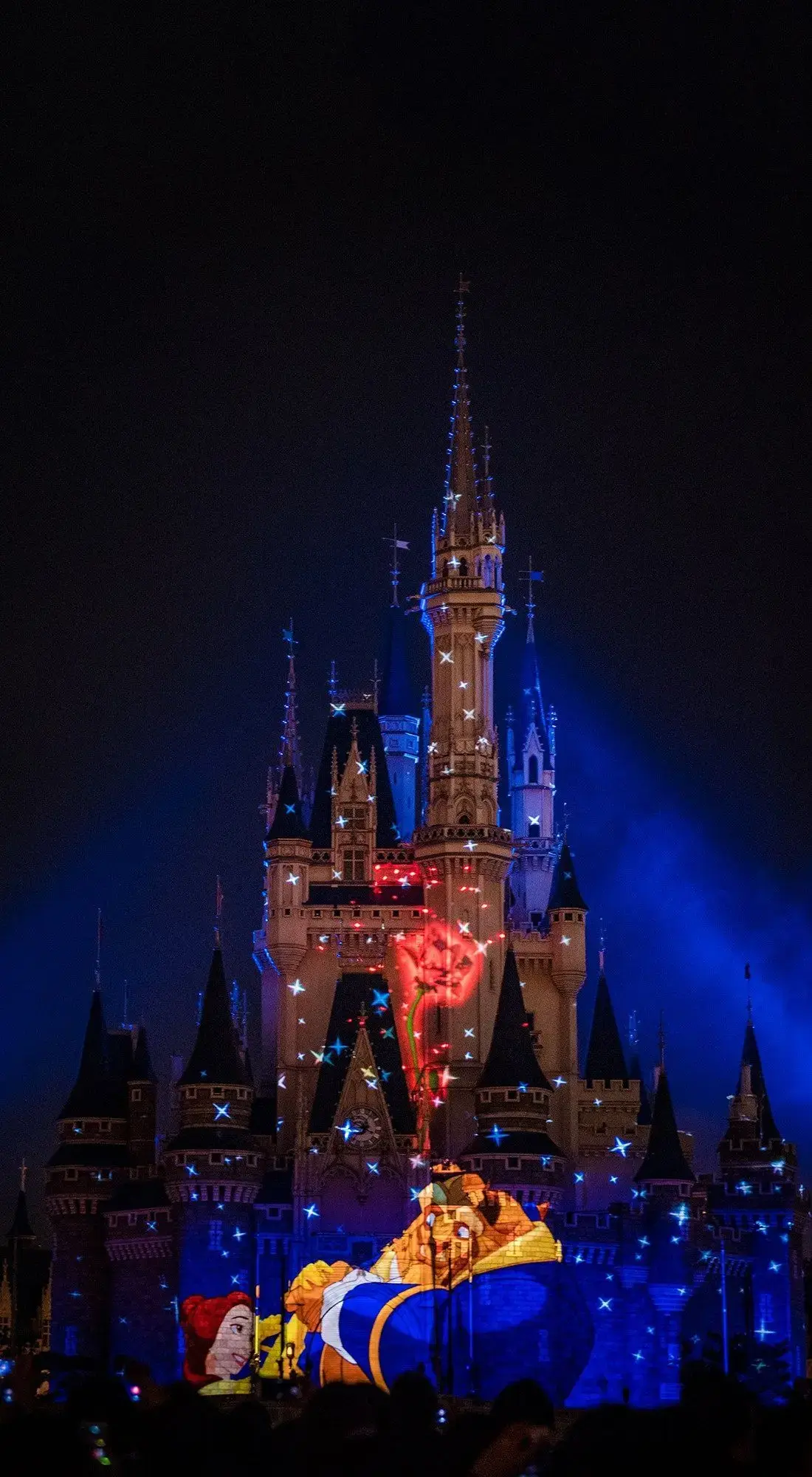 The Beauty and The Beast